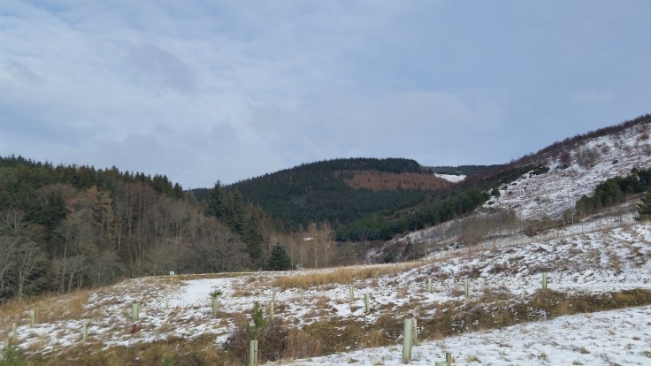 Glentress centre bike routes view